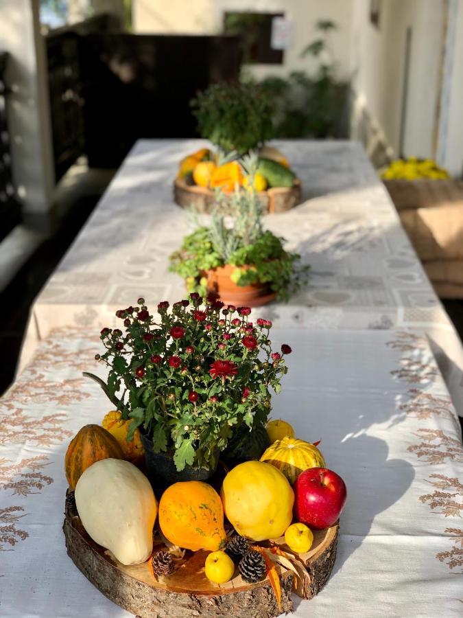 Veranda Apartman Nyíregyháza Buitenkant foto