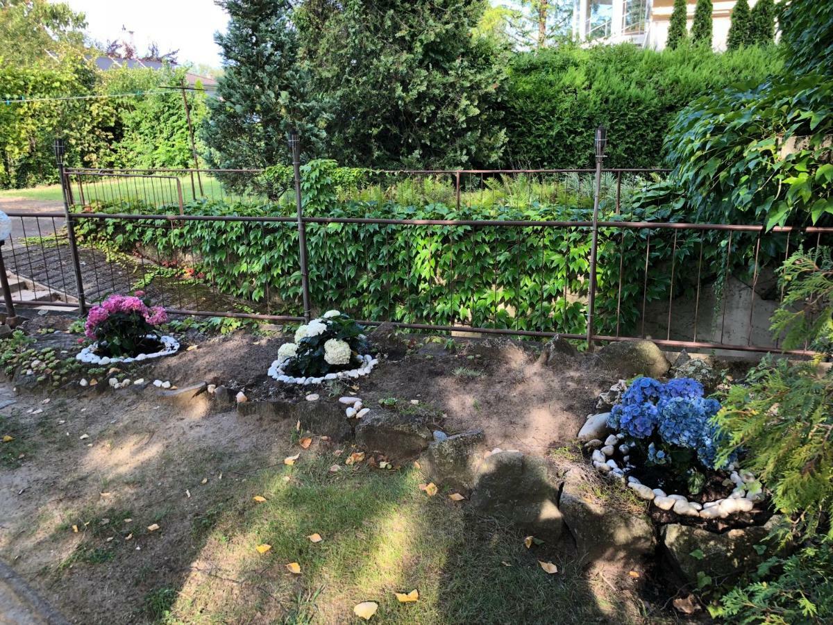 Veranda Apartman Nyíregyháza Buitenkant foto
