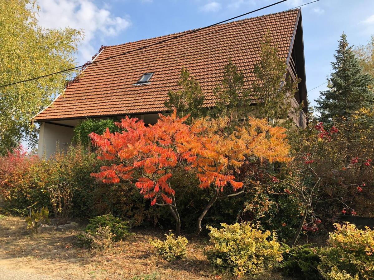Veranda Apartman Nyíregyháza Buitenkant foto