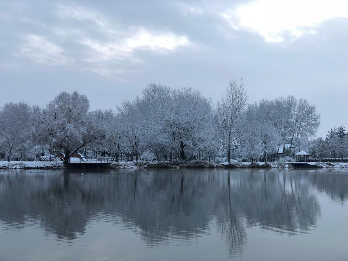 Veranda Apartman Nyíregyháza Buitenkant foto